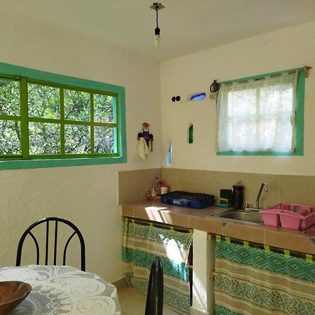 Appartement Casa Ecologica à Tepoztlán Extérieur photo