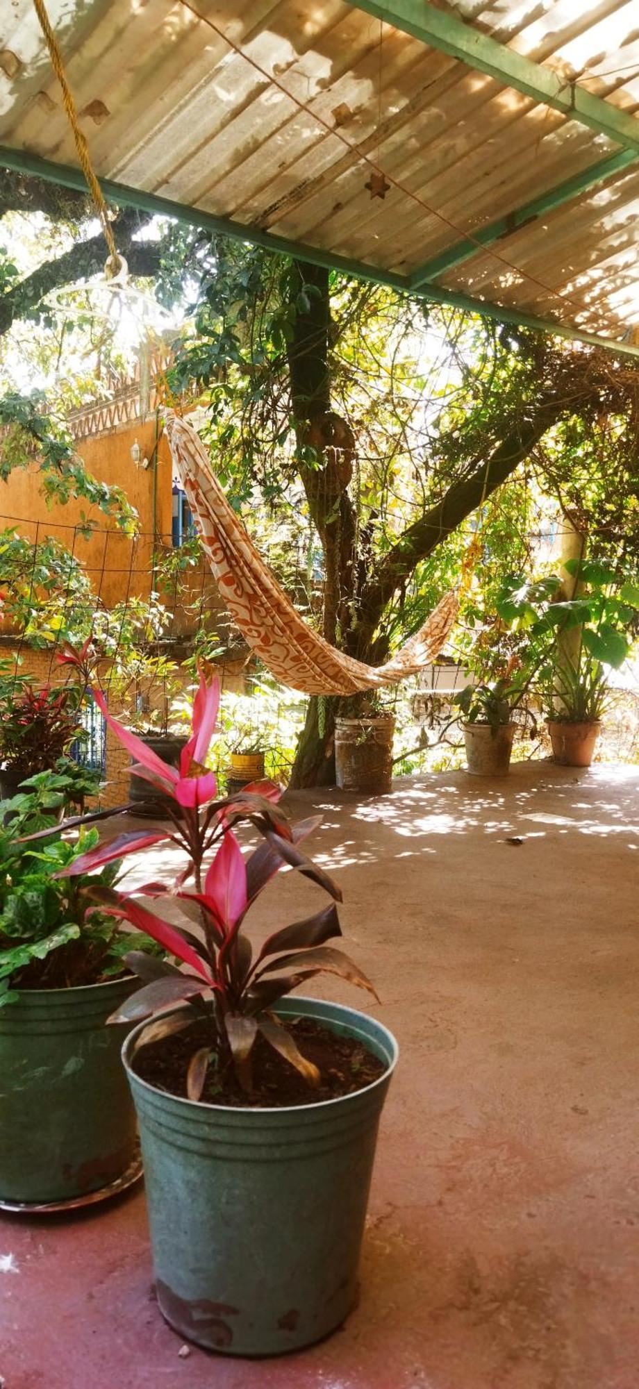 Appartement Casa Ecologica à Tepoztlán Extérieur photo