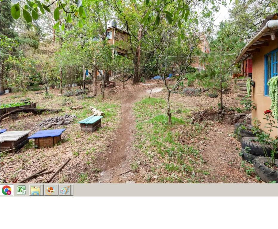 Appartement Casa Ecologica à Tepoztlán Extérieur photo