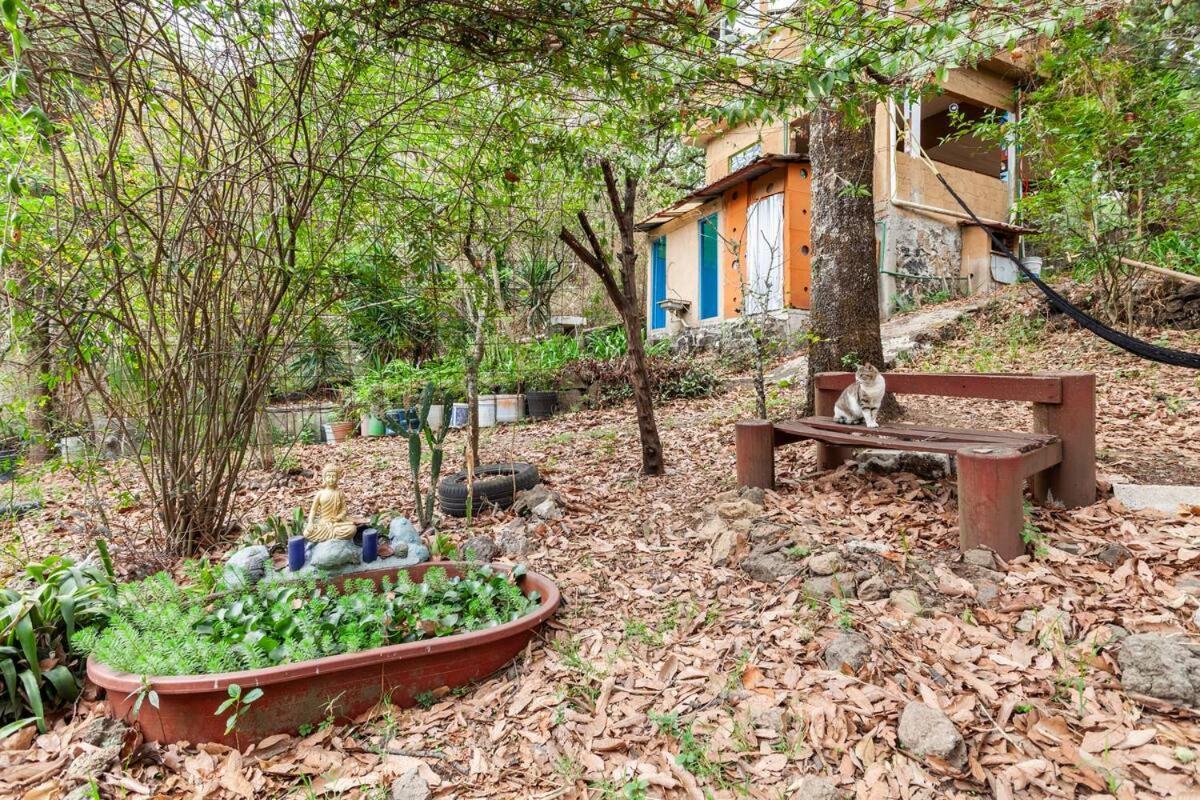Appartement Casa Ecologica à Tepoztlán Extérieur photo
